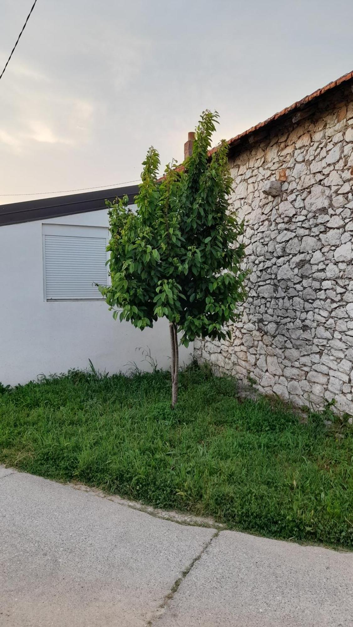 Apartamento Kamena Kuca Family Rodin Čapljina Exterior foto